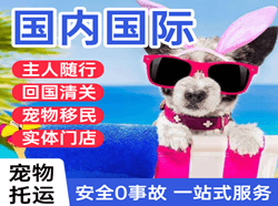 秦皇岛航空快递国际宠物托运 【国